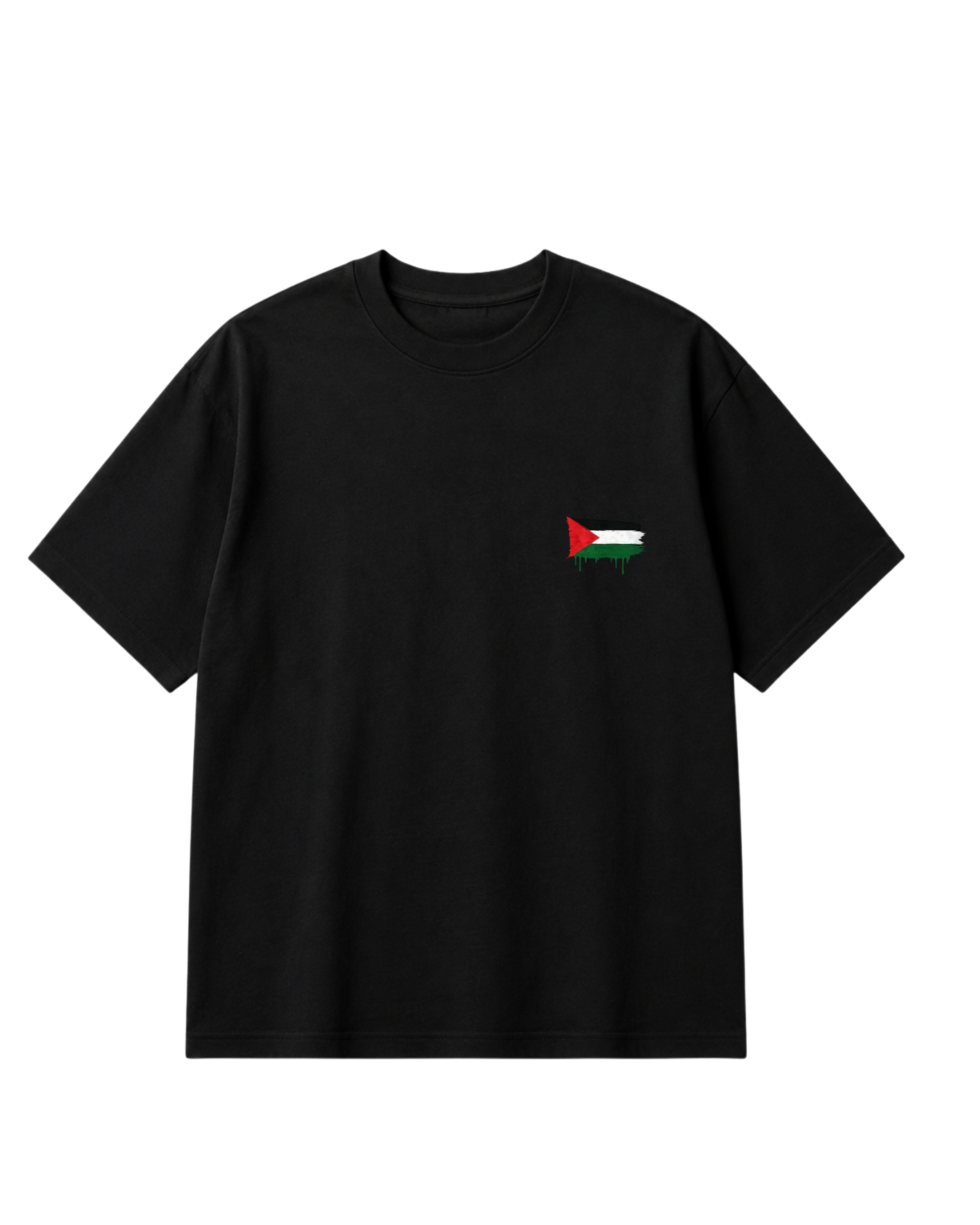 WATER MELON X PALESTINE